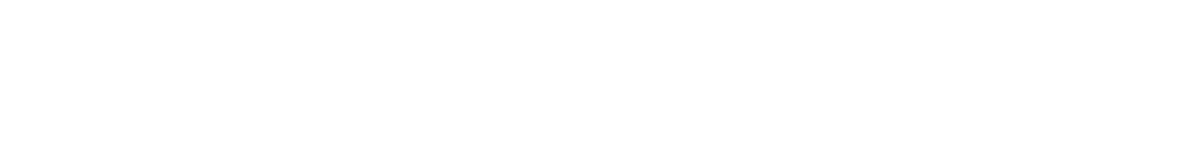 logo2